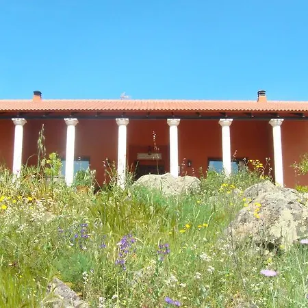 Romana * Don Álvaro