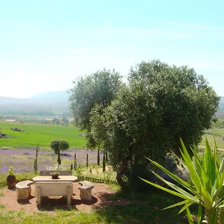 Séjour à la campagne Romana Don Álvaro