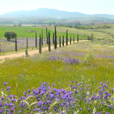 Country house Romana Don Alvaro